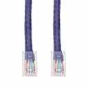 AddOn 4ft Purple CAT 6 PVC Ethernet Cable Non-Booted RJ-45 M/M