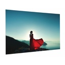 Da-Lite FullVision 109" Fixed Frame Projection Screen