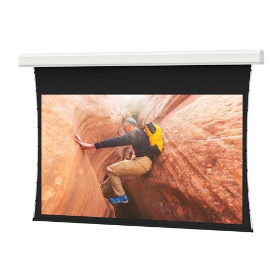 Da-Lite Tensioned Advantage 208" Electric Projection Screen
