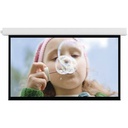 Da-Lite Advantage 119" Projection Screen