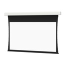 Da-Lite Tensioned Large Advantage Electrol 247" Electric Projection Screen