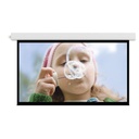 Da-Lite Advantage 110" Electric Projection Screen