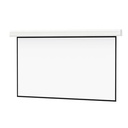 Da-Lite Large Advantage Deluxe Electrol 243" Electric Projection Screen