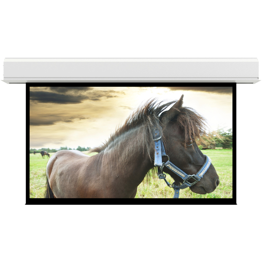 Da-Lite Advantage 222" Electric Projection Screen
