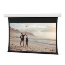 Da-Lite Tensioned Contour Electrol 110" Electric Projection Screen