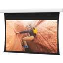 Da-Lite Tensioned Large Advantage Electrol 298" Electric Projection Screen