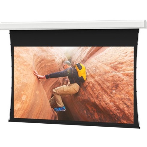 Da-Lite Tensioned Large Advantage Electrol 208" Electric Projection Screen