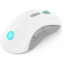 Lenovo Legion M600 Wireless Gaming Mouse (Stingray)