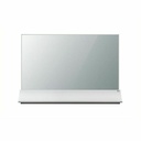 LG 55" FHD Transparent OLED with Stand
