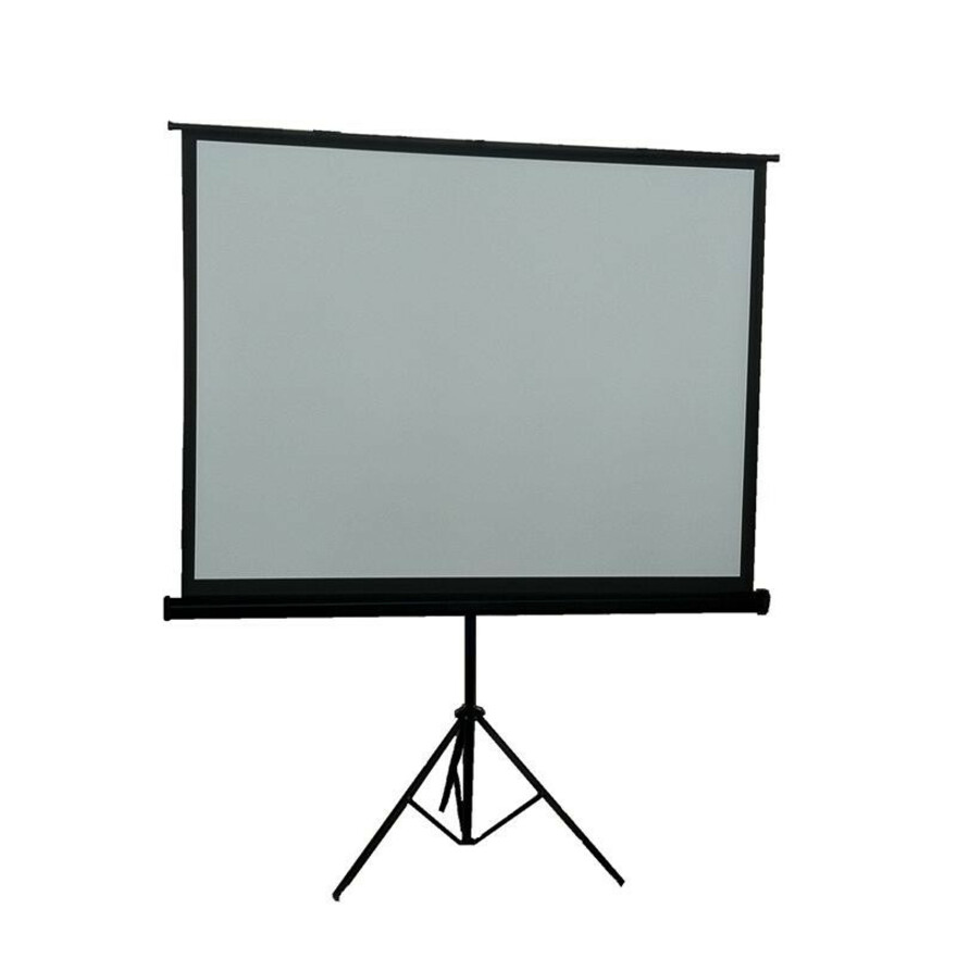 Inland 100" Projection Screen
