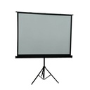 Inland 100" Projection Screen