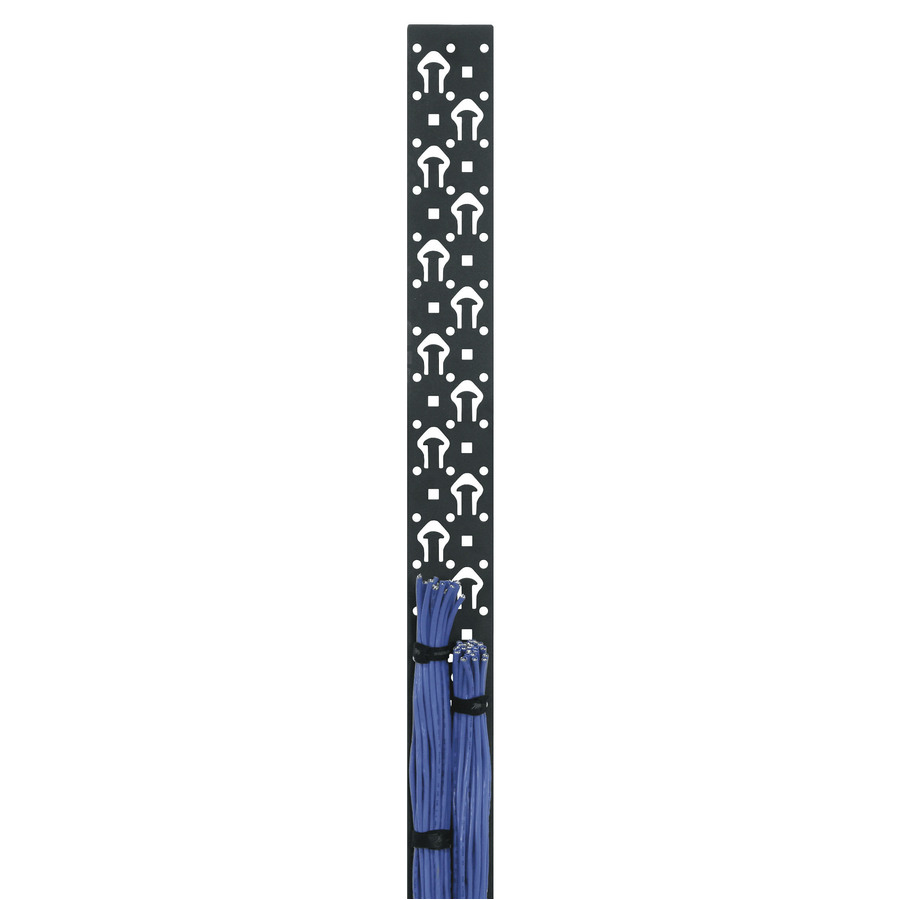 Middle Atlantic 3-1/4" Width, 40 Space W/ Tie Posts