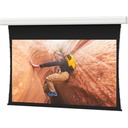 Da-Lite Tensioned Large Advantage Electrol 220" Electric Projection Screen