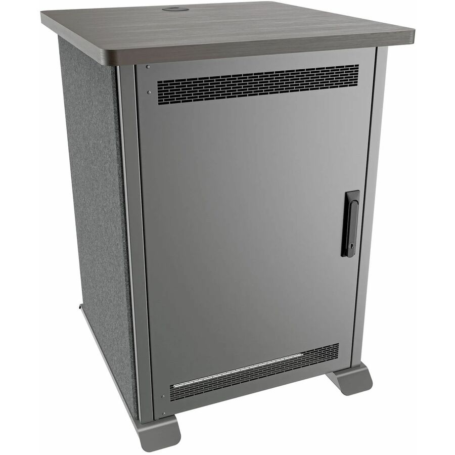 Middle Atlantic Rack Door