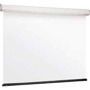 Draper Luma 2 Projection Screen