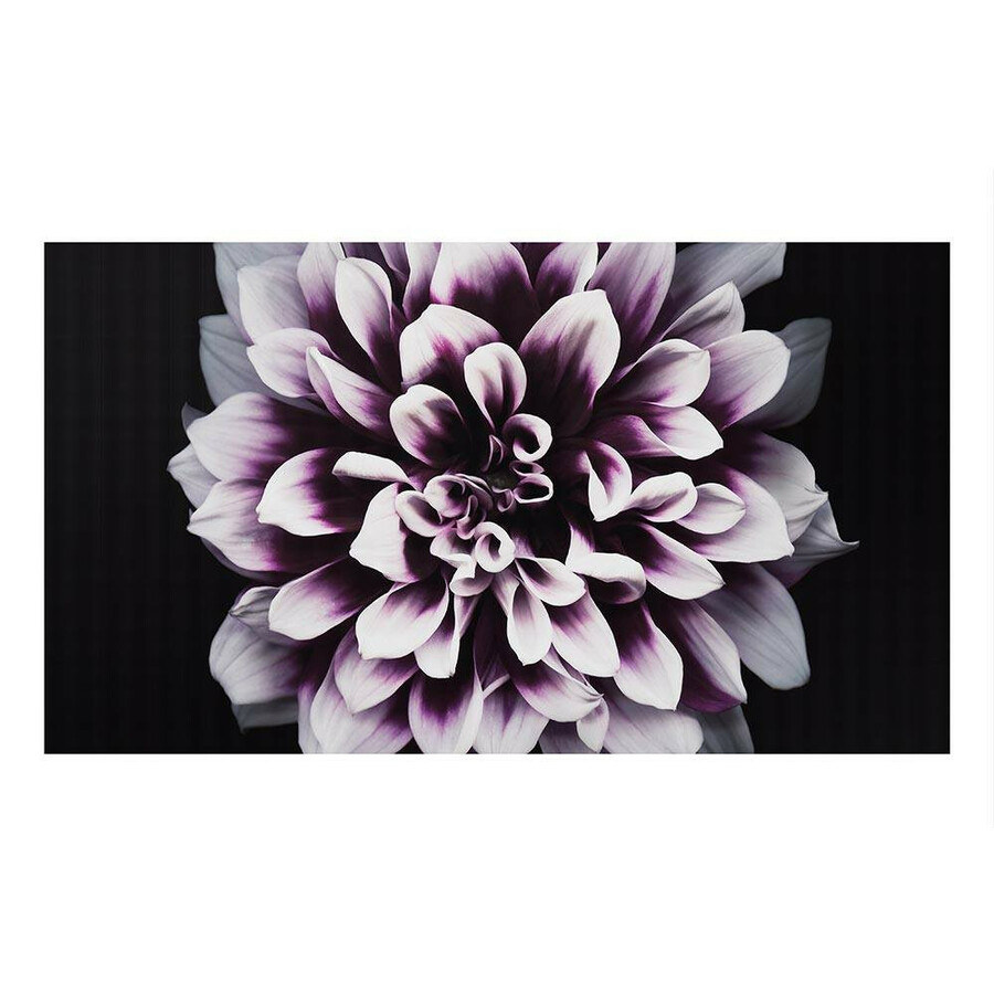 Samsung The Wall IW008J Digital Signage Display