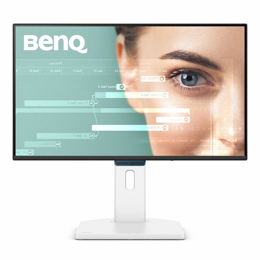 BenQ GW2490TC 24" Class Full HD LED Monitor - 16:9