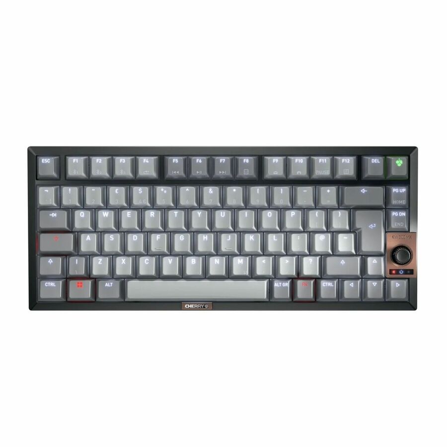 CHERRY G80-3960 Keyboard