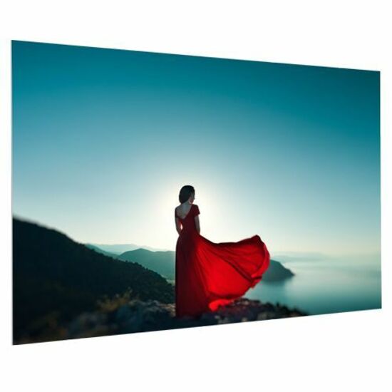 Da-Lite FullVision 119" Fixed Frame Electric Projection Screen