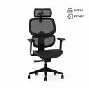 FlexiSpot C7 2025 - Mesh Seat, Black with Foot rest