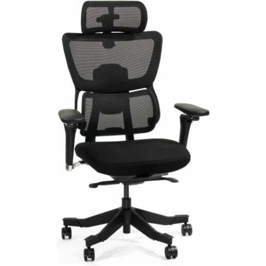 FlexiSpot Premium Ergo Max C7MAXB-FOAM Chair