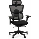 FlexiSpot Premium Ergo Max C7MAXB-FOAM Chair