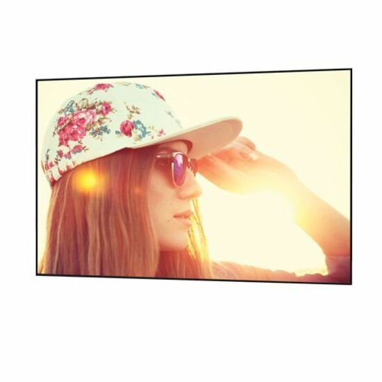 Da-Lite Parallax Thin Projection Screen - Ambient Light Rejected Fixed Screen with Beveled Frame - 120in