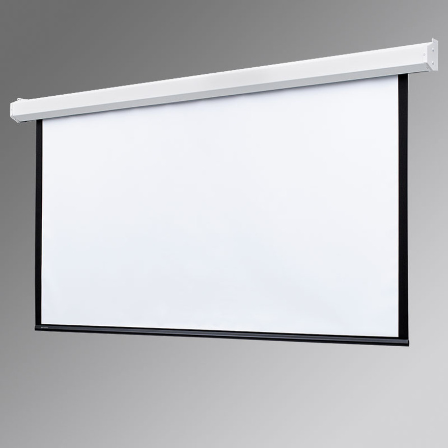 Draper Targa 133" Projection Screen