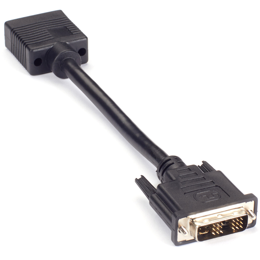 Black Box Video Adapter Dongle - DVI Male To VGA Female