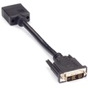 Black Box Video Adapter Dongle - DVI Male To VGA Female