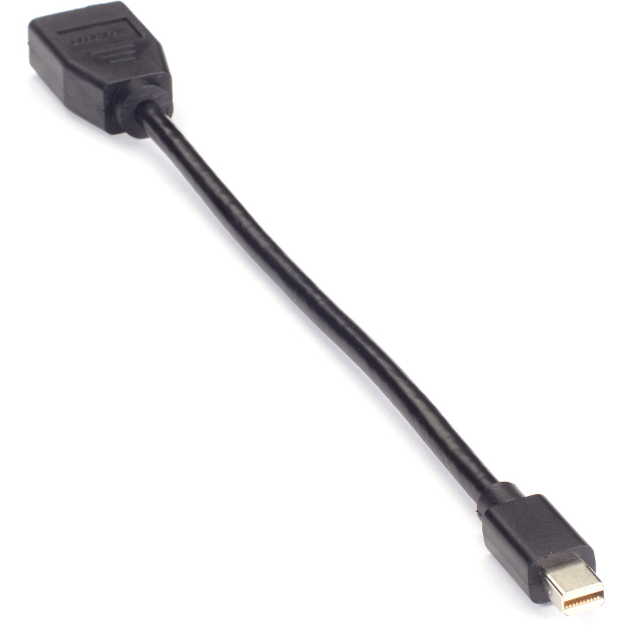 Black Box Mini DisplayPort-to-DisplayPort Adapter