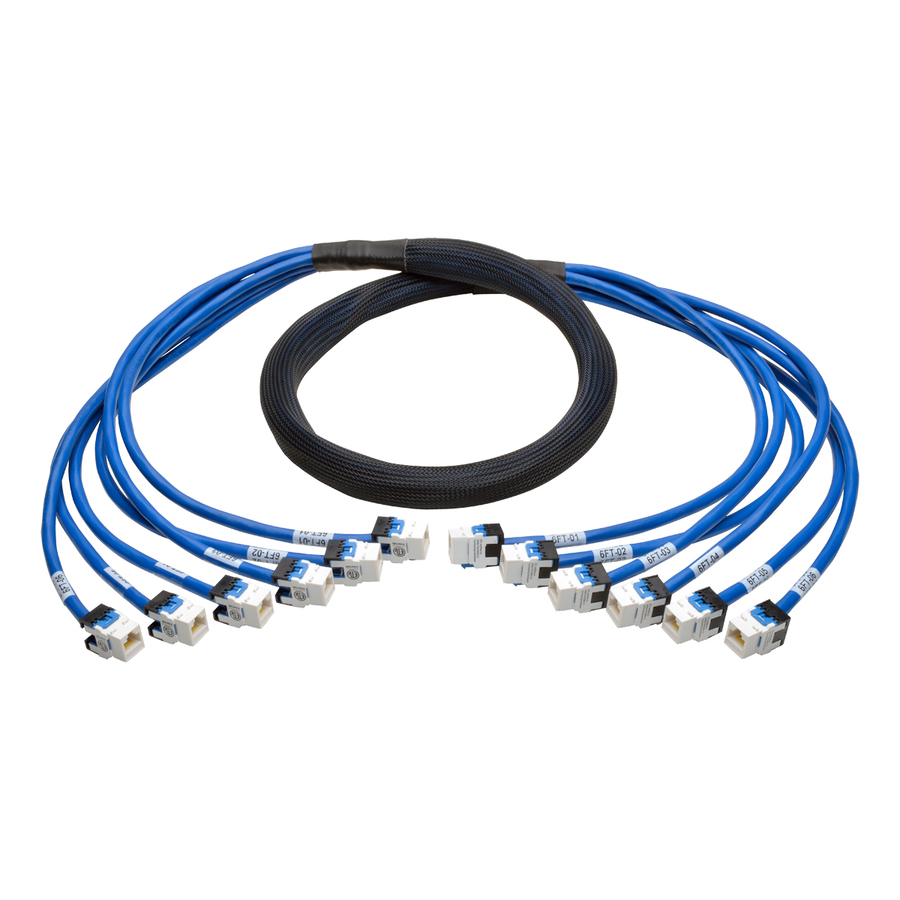 Eaton Tripp Lite Series Cat6a 10G Pre-Terminated Copper Trunk Assembly (6x RJ45 F/F), Blue, 6 ft. (1.83 m)