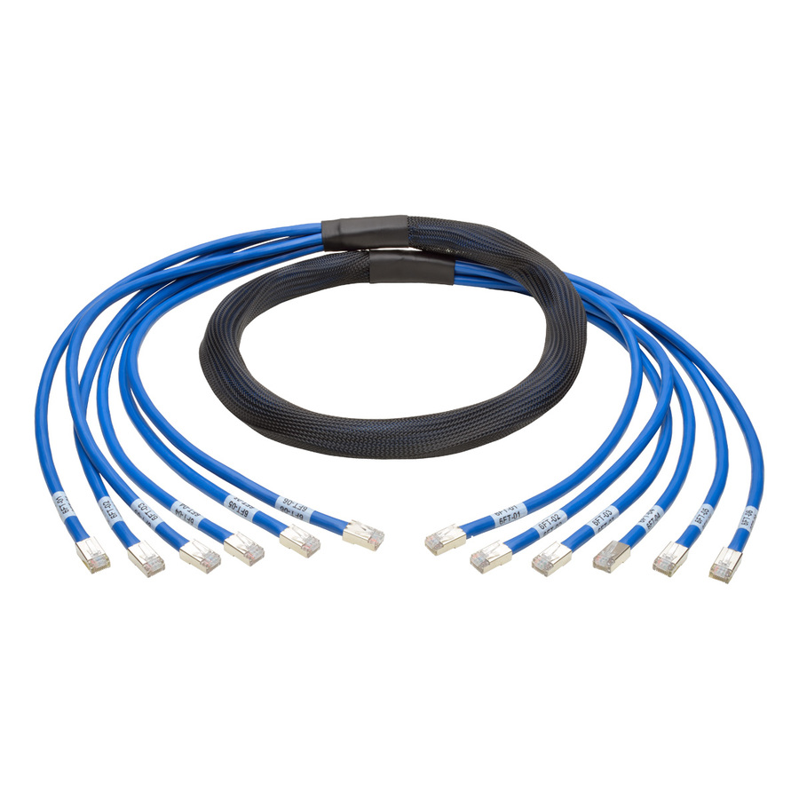 Tripp Lite by Eaton Cat6a 10G Pre-Terminated Copper Trunk Assembly (6x RJ45 M/M) Blue 6 ft. (1.83 m)
