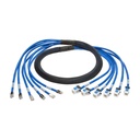 Eaton Tripp Lite Series Cat6a 10G Pre-Terminated Copper Trunk Assembly (6x RJ45 M/F), Blue, 6 ft. (1.83 m)