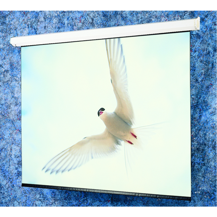 Draper Targa 237" Electric Projection Screen