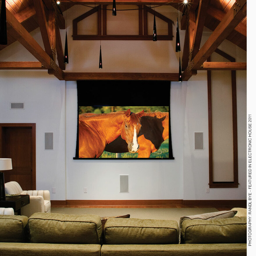 Draper Access V 137" Projection Screen
