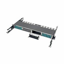 Eaton Tripp Lite Series 100Gb/120Gb Pass-Through Cassette - (x12) 24-Fiber MTP/MPO ( Female )