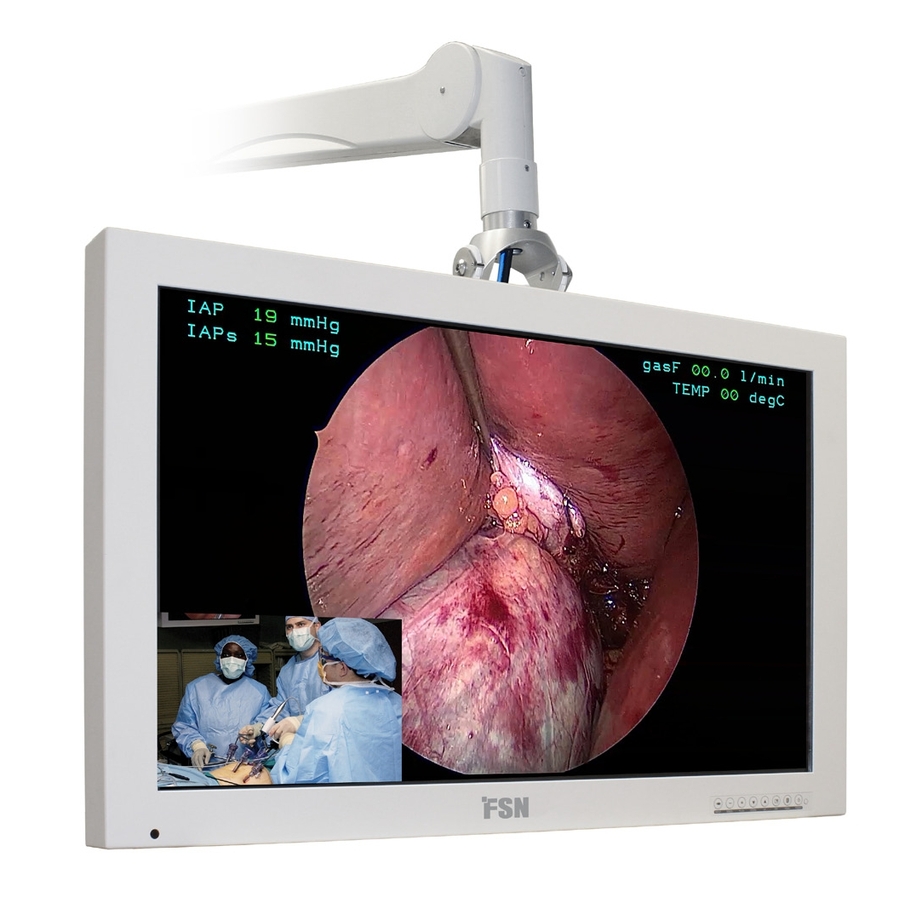 Foreseeson FS-L3202D 32" Class Full HD LCD Monitor - 16:9