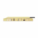Pulizzi ePDU TPC115-1 10-Outlets PDU