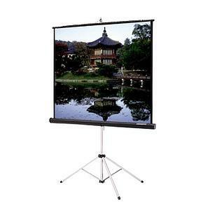 Da-Lite Picture King Portable and Tripod Projection Screen (Gray Carpeted)
