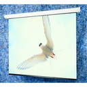 Draper Targa 94" Electric Projection Screen