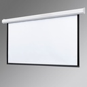 Draper Targa 165" Projection Screen
