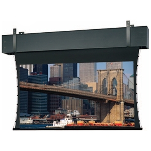 Da-Lite Tensioned Professional Electrol 298" Electric Projection Screen