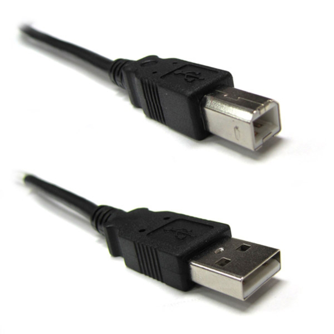 Weltron USB 2.0 Cable A Male to B Male