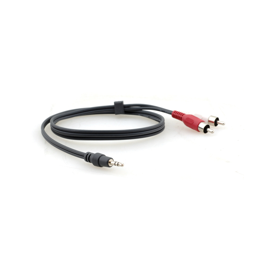 Kramer 3.5mm (M) to 2 RCA (M) Breakout Cable