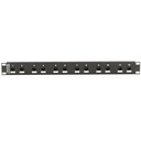 Black Box CAT6 Surge-Protected Patch Panel - 1U, 12-Port