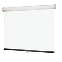 Draper Luma 2 Manual Wall and Ceiling Projection Screen