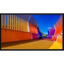 SHARP® PN-E509 50" 4K UHD Professional Display