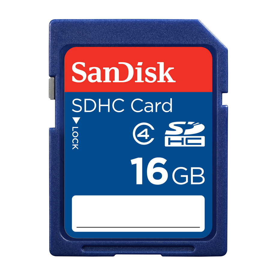 SanDisk 16 GB Class 4 SDHC