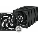 Arctic P8 PWM PST Cooling Fan - 5 Pack